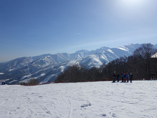 ❄️ Snowy Peaks & Scenic Treats: A Family Day Out at Hakuba Mountain Harbor