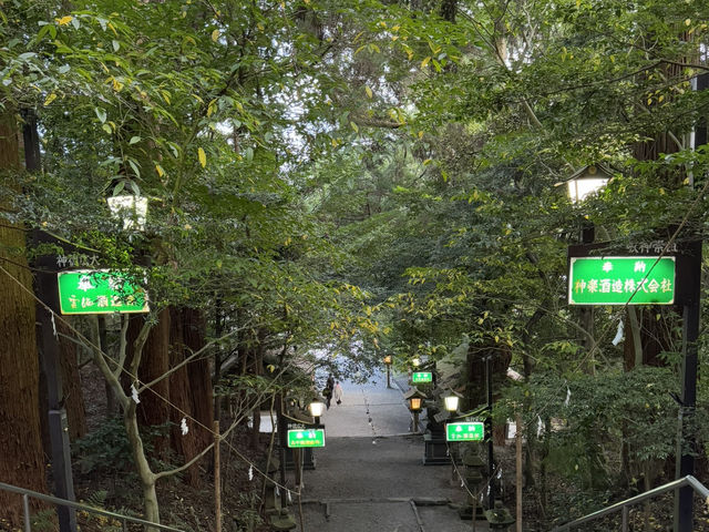 미야자키 2박 3일 일정 공유 🇯🇵