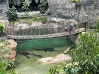 Adventures and animal spotting in Rainforest Wild Asia