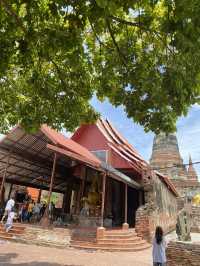 ไหว้หลวงพ่อโต วัดพนัญเชิง ไหว้พระเสริมบุญ ณ อยุธยา