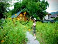 The Hidden Falls ในสวนลับศรีราชา