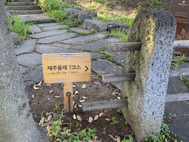 제주에서 가장 아름다운 산책길 “올레 7코스” 
