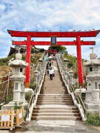 Kabushima Shrine: Where 30,000 Wild Gulls Become Sacred Messengers