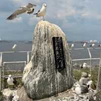 Feathered Spirits & Ocean Whispers: A Summer Pilgrimage to Kabushima Shrine