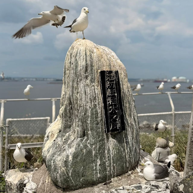 Feathered Spirits & Ocean Whispers: A Summer Pilgrimage to Kabushima Shrine