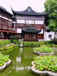 Dian Chuntang: A Peaceful Teahouse in the Heart of Shanghai