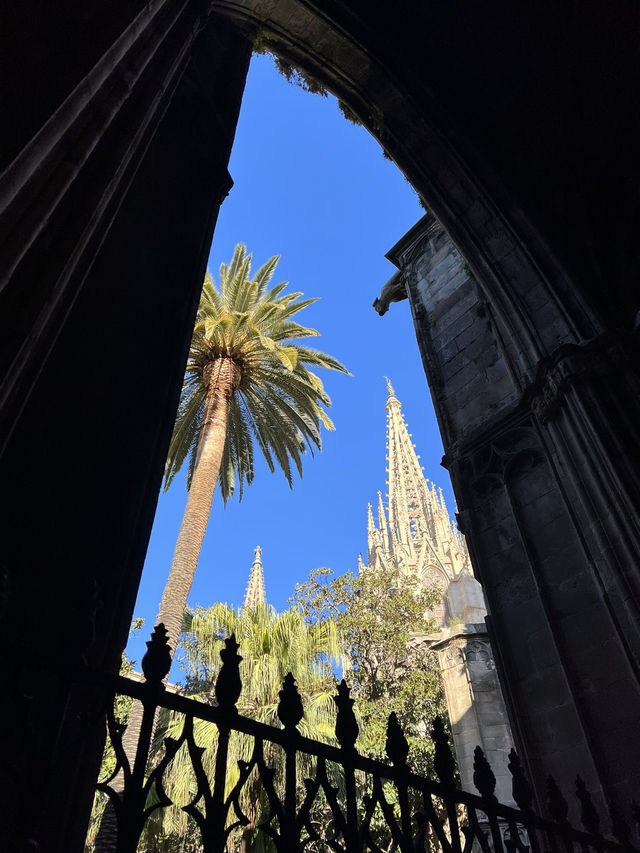 Barcelona: A Colorful City Full of Life and Art