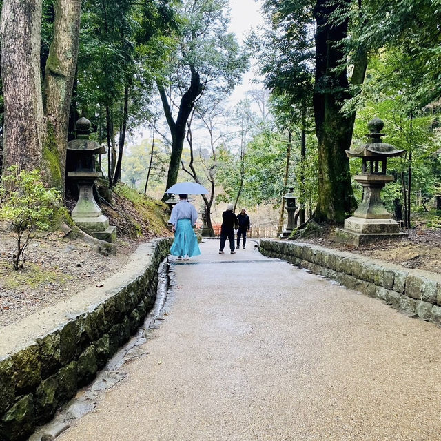 日本散策：古都奈良，與神的使者相遇