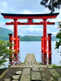 A Stunning Sight at Hakone Shrine’s Torii Gate