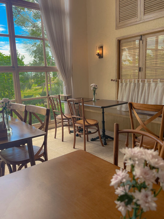 คาเฟ่ ราชบุรี ที่มีมะกอกโอลีฟ ถึงสองต้น