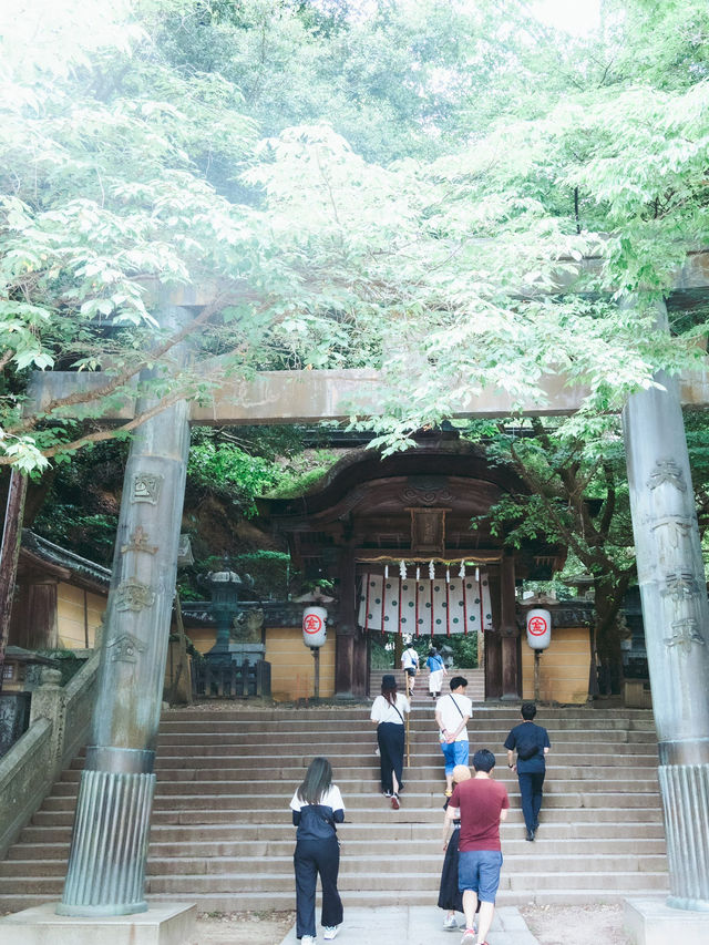 【香川県】金刀比羅宮の旅