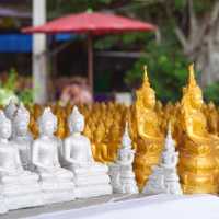 🌺วัดธรรมปัญญา