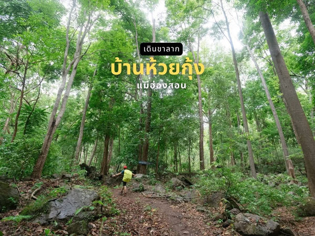 เดินป่าหน้าฝน แม่ฮ่องสอน บ้านห้วยกุ้ง