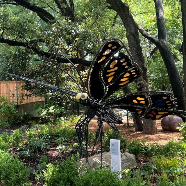 Fort Worth Botanic Garden