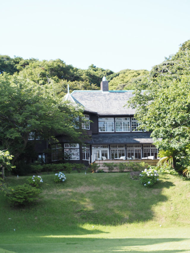 【鎌倉】緑に囲まれたカフェ3選