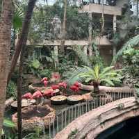 Dallas World Aquarium