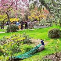 Holland Park of Kensington