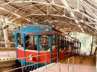 Rokko Cable Car (六甲ケーブル) – Kobe’s Scenic Ride to the Stars** 🌄🚠   