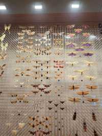 Shanghai Natural History Museum
