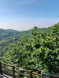창원의 숨은 명산에서 힐링하다