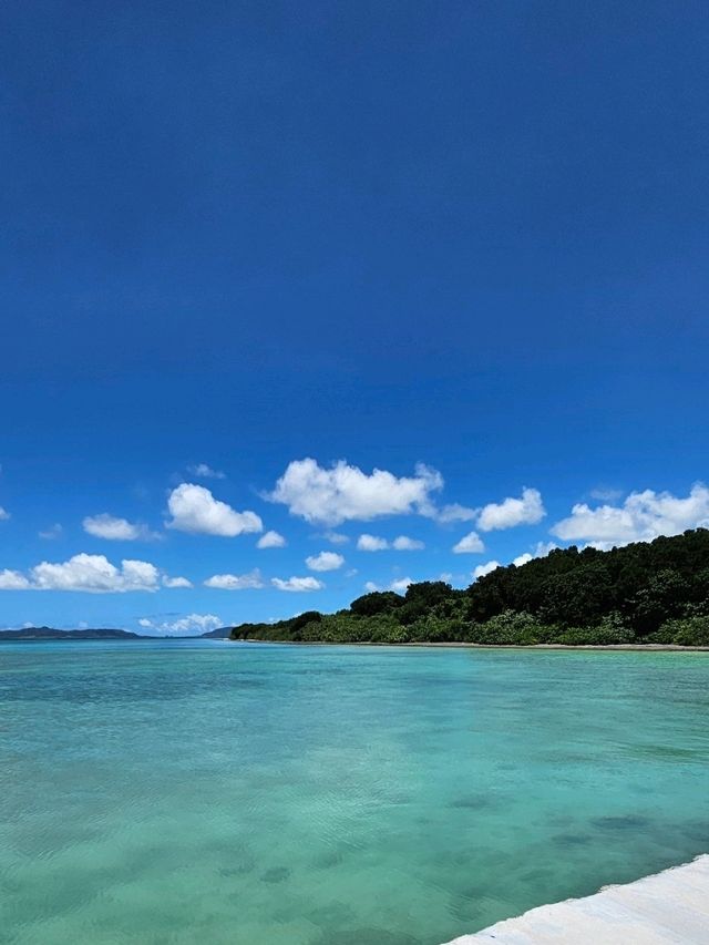 竹富島～夏の思い出～