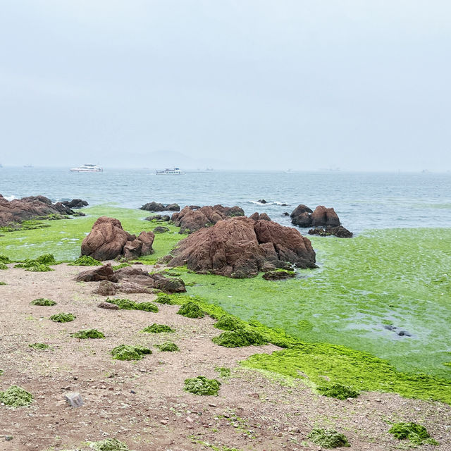 🌊 Qingdao Port: Two Faces, One City 💙✨