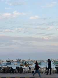 Alexandria: Burned Knowledge By The Sea