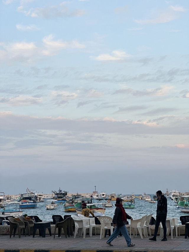 Alexandria: Burned Knowledge By The Sea