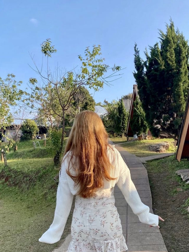 มอนวิวงาม แม่ริมเชียงใหม่ 🏞️