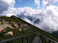 Sky High Walks at the Top of the World