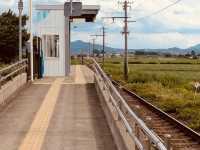 Mt. Iwaki Diary: A Solo Hiker's Spiritual Journey in Aomori** ⛰️🌸