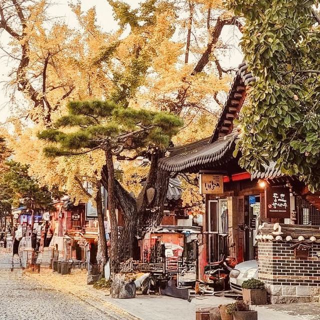 Solo Traveler's Guide to Jeonju Hanok Village: Tradition on a Budget** 🇰🇷🏯