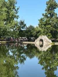 Painted by Time: The Cinematic Charm of Hongcun