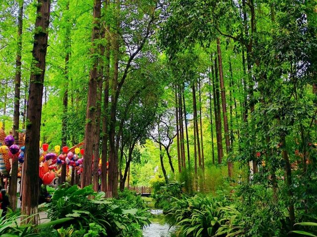 People's Park – Chengdu’s Living Room