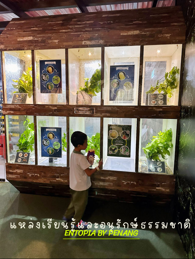 Entopia ปีนัง แหล่งเรียนรู้และอนุรักษ์ธรรมชาติ
