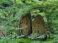 【大原三千院】山里に佇む癒しの寺🍃静寂と緑に包まれる“心の旅”