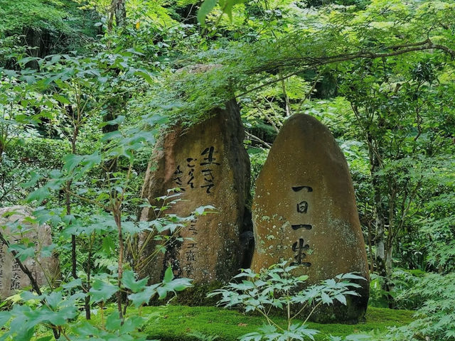 【大原三千院】山里に佇む癒しの寺🍃静寂と緑に包まれる“心の旅”