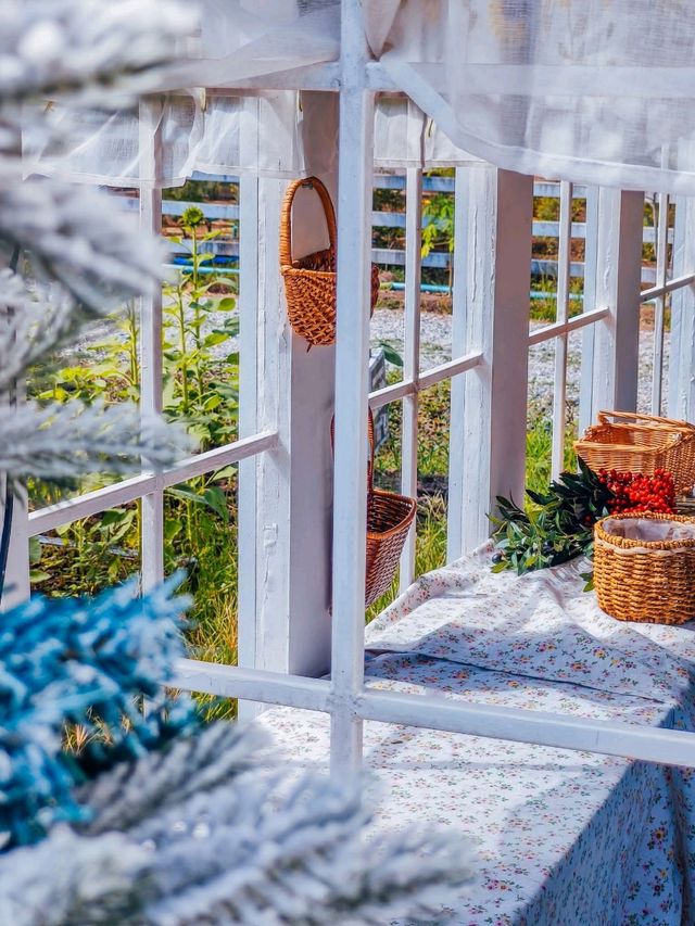 📍เที่ยวบ้านไร่นายรุ่ง กาญจนบุรี 🌾