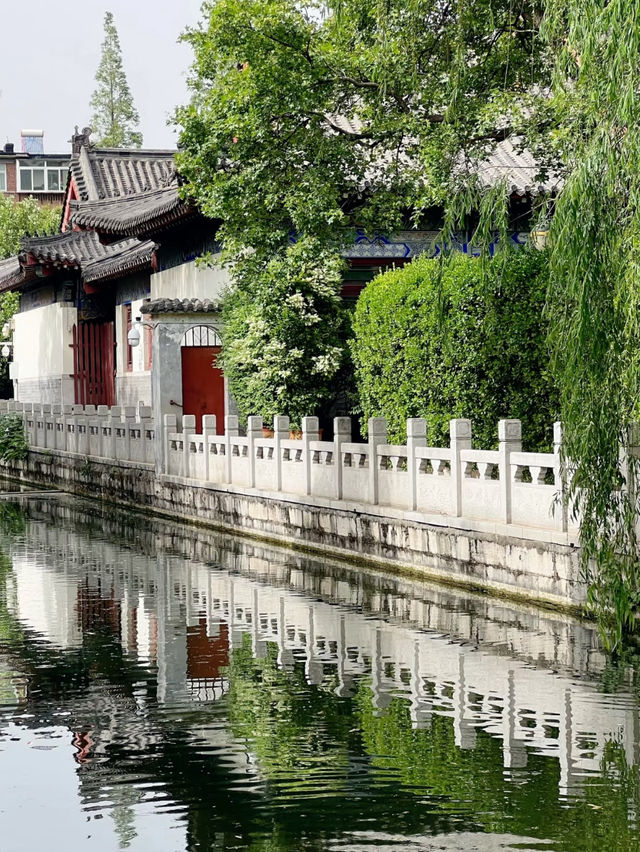 Zhenzhu Spring 🍃 