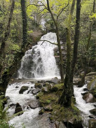 Hidden Forest Gem at Cascata da Cabreia