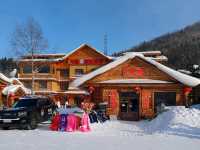 Snow Town: A Winter Fairy Tale