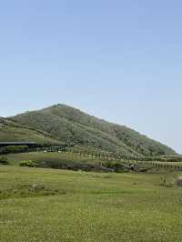 Qingtiangang grassland 