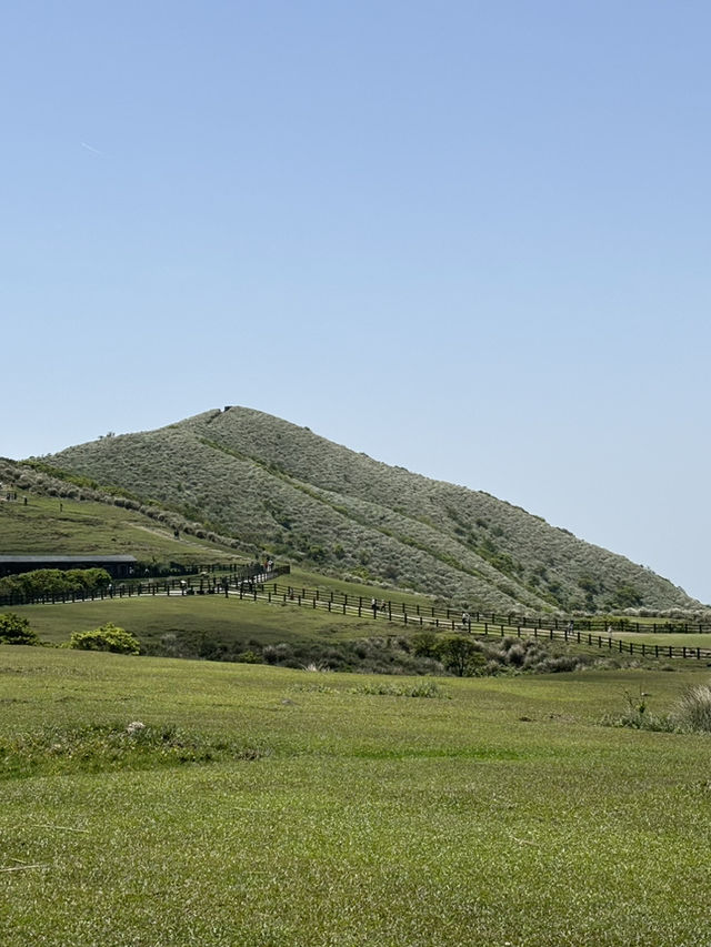 Qingtiangang grassland 