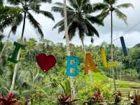 Bali's Scenic Gem: Tegalalang Rice Fields