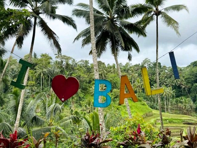 Bali's Scenic Gem: Tegalalang Rice Fields
