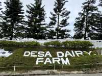 5 Days in Kota Kinabalu- amazing tour from mountain to sea.
