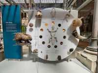 Oxford University Museum of Natural History: A Feast of Nature and History