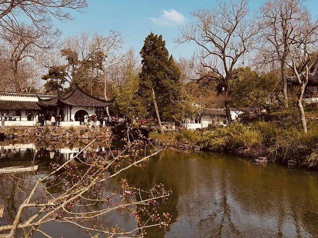 *Humble Administrator's Garden: A Masterpiece of Classical Chinese Garden Design