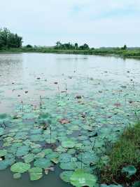 Rumah Melayu and Scenic Lake Views at Paya Indah Park: Relaxing Nature Escape 