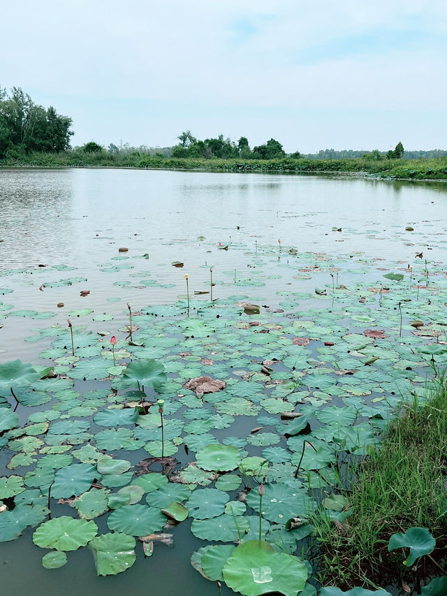Rumah Melayu and Scenic Lake Views at Paya Indah Park: Relaxing Nature Escape 